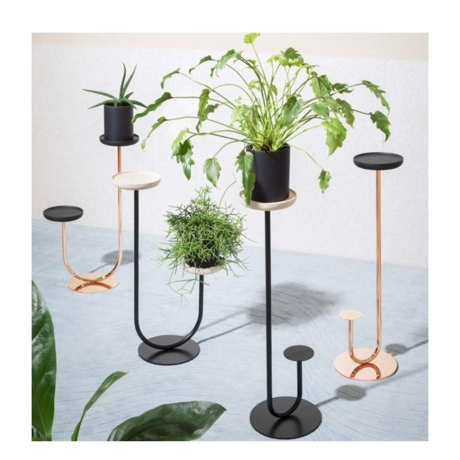 Complements Miniforms | Cigales Collection, Floor Standing Planter By Miniforms.